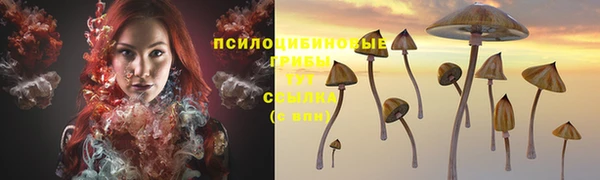 экстази Аркадак