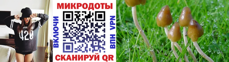 даркнет как зайти  Уяр  Псилоцибиновые грибы Magic Shrooms  что такое  